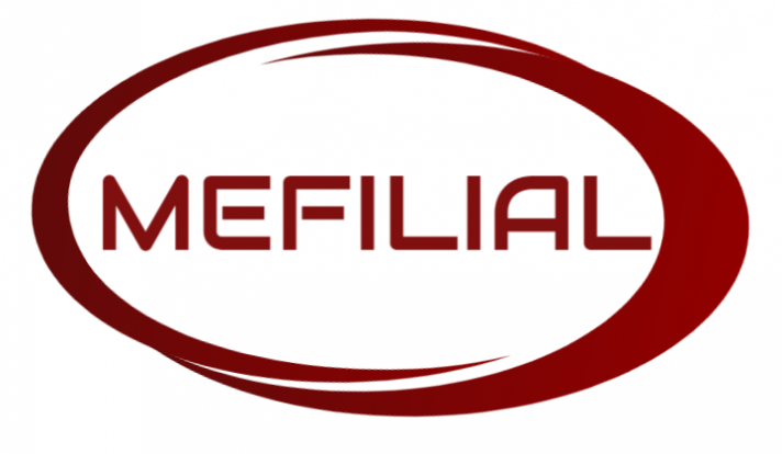 MEFILIAL S.A DE C.V.